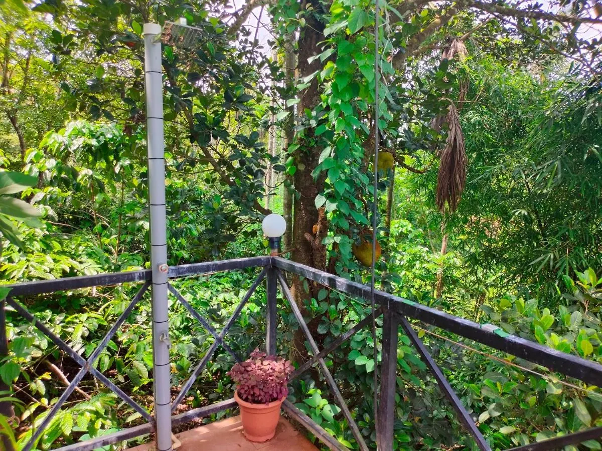 Homestay Golden Cypress Resort With Pool -Wayanad Padinjarathara